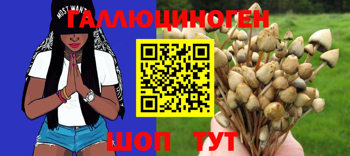 Псилоцибиновые грибы мицелий  Вход с VPN  где продают наркотики  Благодарный 